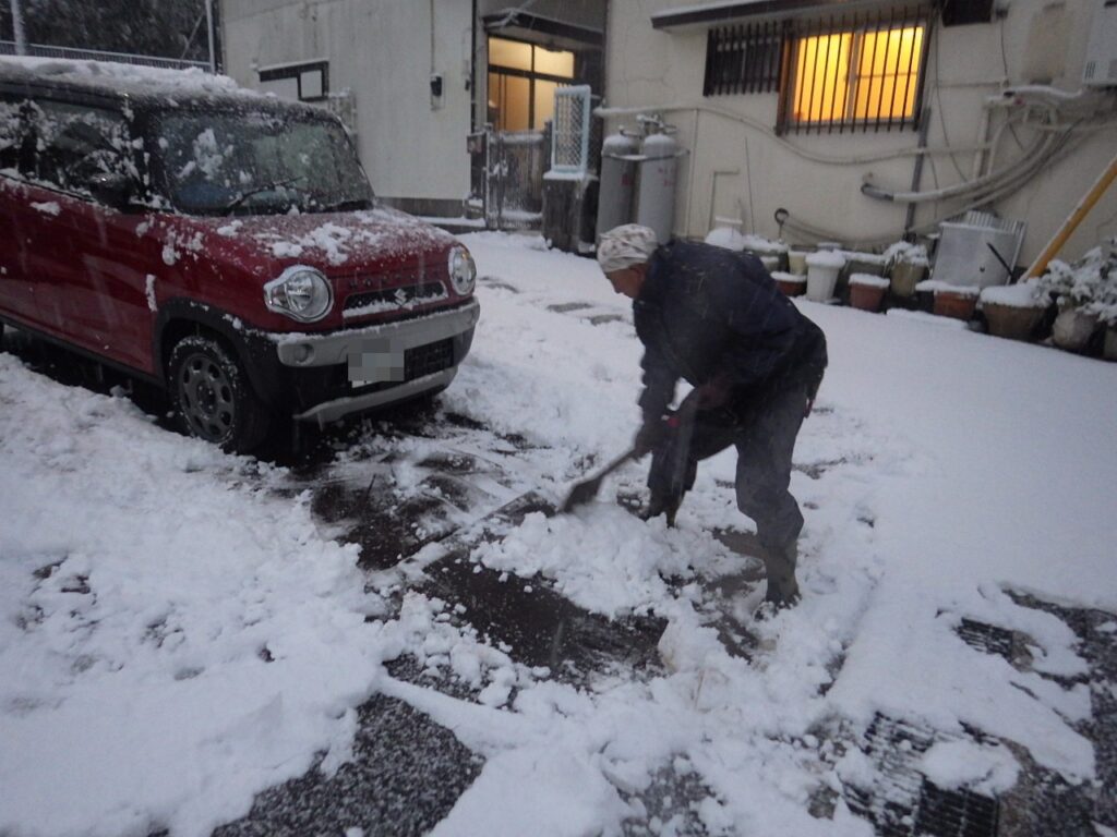 たまにしか降らない雪に千葉県民は大慌て