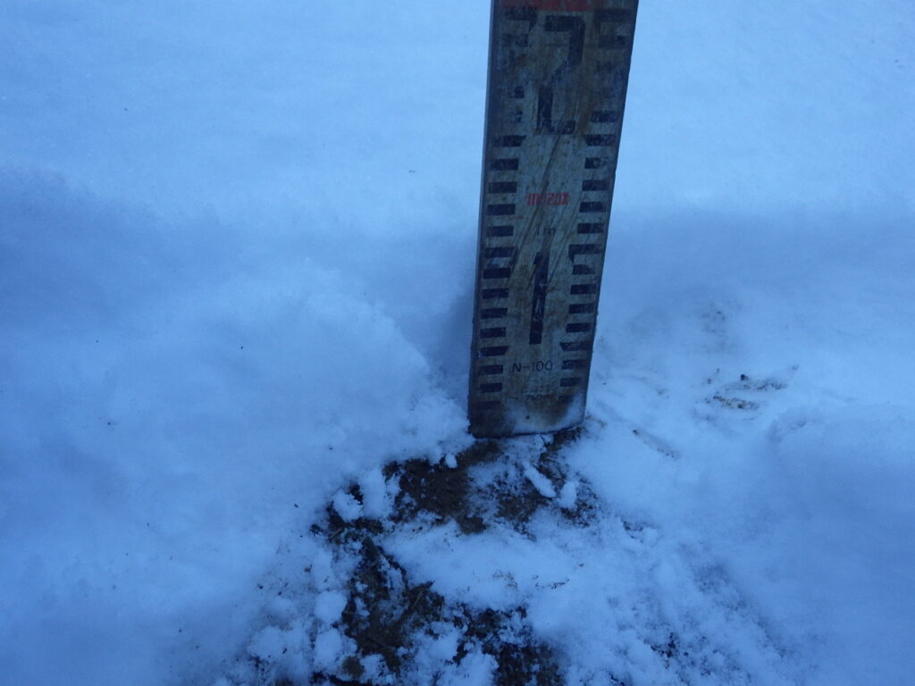 雪の厚さを測る電柱屋
