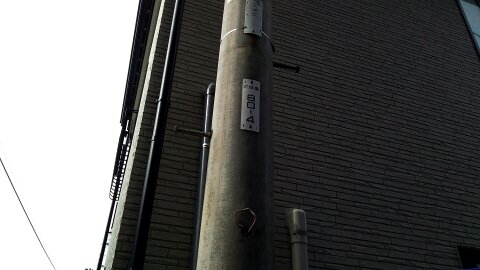 式根島の電柱に付く番号札。式根島は東京都なので東京電力管轄だ