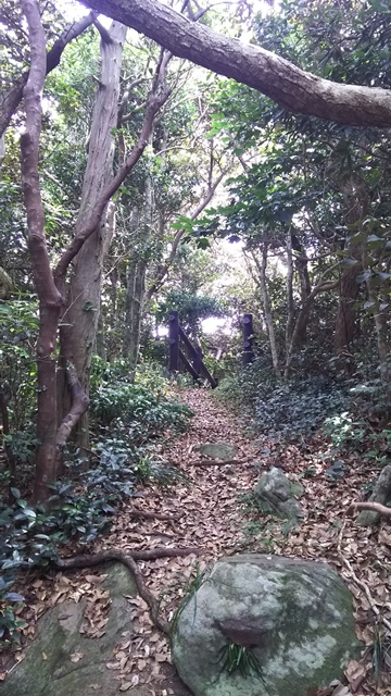式根島の遊歩道。奥に階段が見える